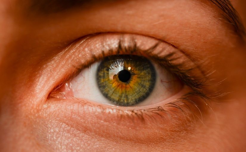 Oczy to charakterystyczny organ. To otóż to dzięki nim widzimy.
